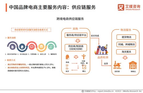 2023年中國品牌電商服務行業研究報告 信息咨詢服務深度解析